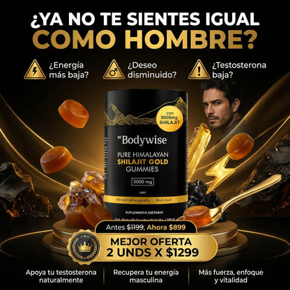 Gomas Bodywise Shilajit