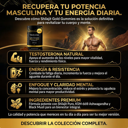 Gomas Bodywise Shilajit